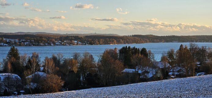Photo de garrincha le long du parcours
