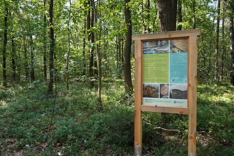 Infotafel Holznutzungspfad
