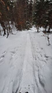 Foto von Regina Fleischmann entlang der Tour