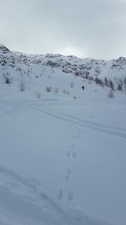 Photo de MadFred le long du parcours