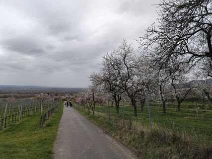 Foto von Poschacher entlang der Tour