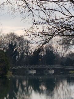 Foto de Stephane Cappellaro a lo largo del recorrido