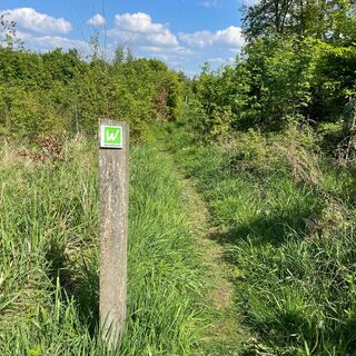Naturpfad Sauerland-Waldroute