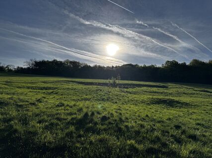 Fotografija s spletne strani Schaali na poti