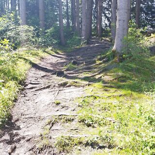 Foto von Myst Era entlang der Tour