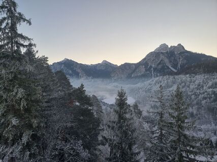 Photo de Felix le long du parcours