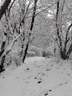 Foto de Daniele Berini a lo largo del recorrido