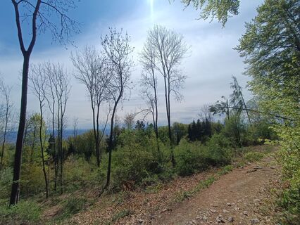 Fotografia z Mike Neuhold na trase