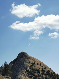 Foto von Steinbock entlang der Tour