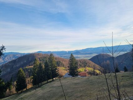 Fotografie z Grizli na trase