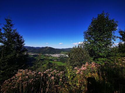 Ausblick auf Mariazell entlang der Strecke