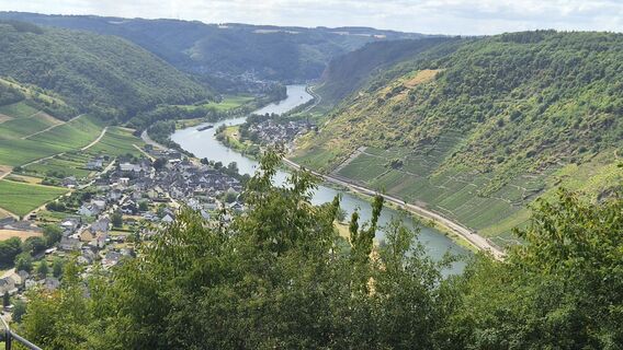 Moselsteig, Etappe 18: Beilstein > Cochem