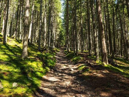 schwalbenwand runde_img_603097328
