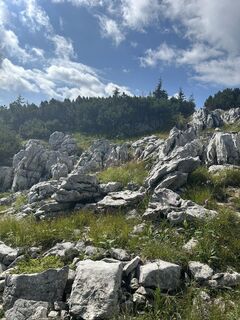 Foto de MAHO a lo largo del recorrido