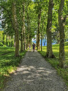 schlosspark-schloss-weissenstein-allee-2026-c-bernhard-assmair.jpeg