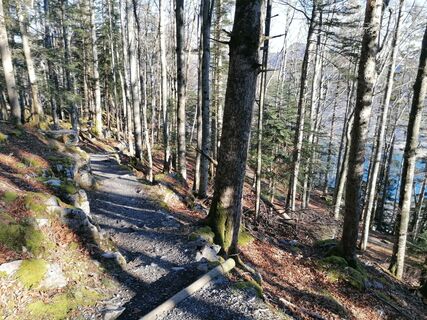 Fotografia z luyyy na trase