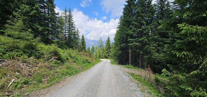 Fotografia z Michael Ganswind na trase