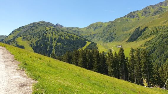 Photo de Gerrit van der Linde le long du parcours