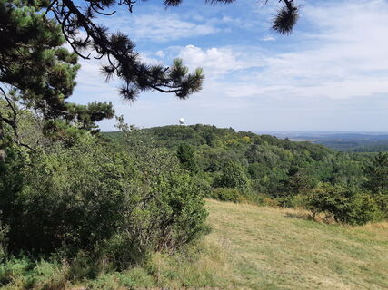 Fotografia z mmecki na trase
