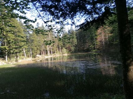 Foto von Turbinio entlang der Tour