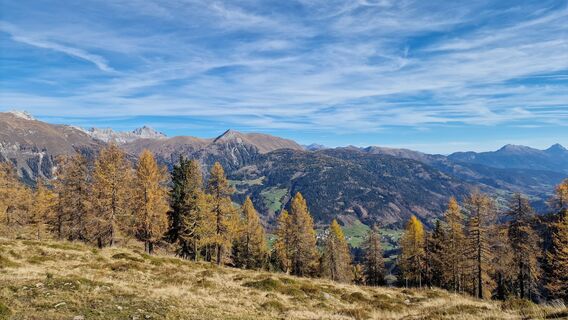 Fotografia z loki0710 na trase