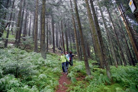 Auf Wandertour durch Baiersbronn
