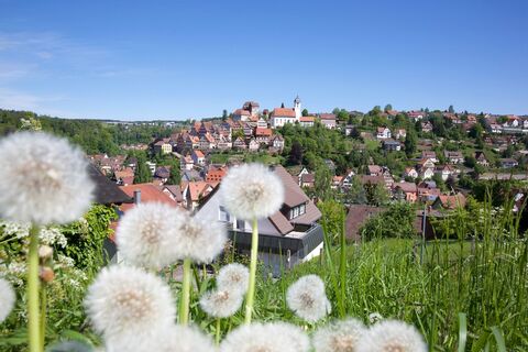 Blick auf Altensteig