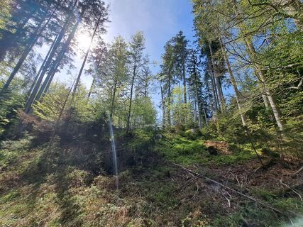 Photo de Bernhard Weith le long du parcours