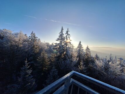 Photo de Bernadette Erla le long du parcours