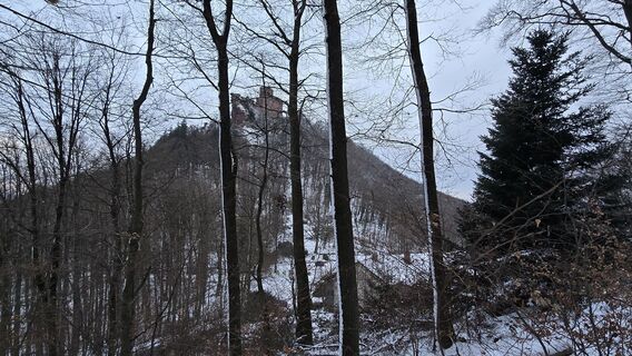 Foto de Katja Senkel a lo largo del recorrido