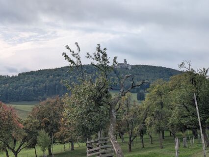 Fotografija s spletne strani Sabine Gerald2208 na poti