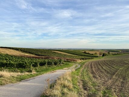 Photo from Barbara Schober along the tour