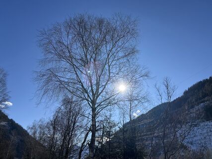 Fotografie z Peter Paul Gröfler na trase