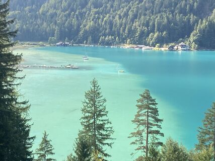 Foto von AMO entlang der Tour