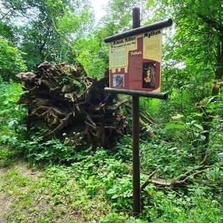 Eine der ersten Stationen