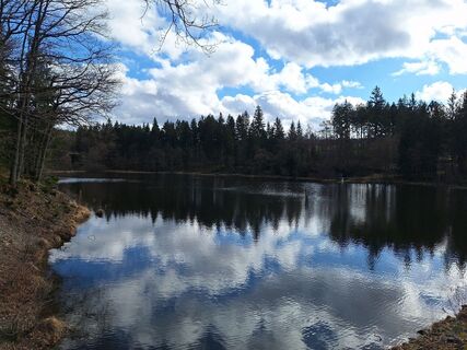 Fotografie z Elsbeth na trase