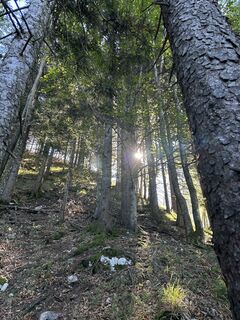 Fotografija s spletne strani Andreas Krogmann na poti