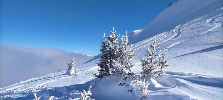Frischer Pulverschnee