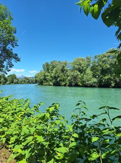 Fotografia z Dagmar Hofer na trase