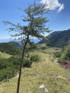 Foto von Sven Krieblin entlang der Tour