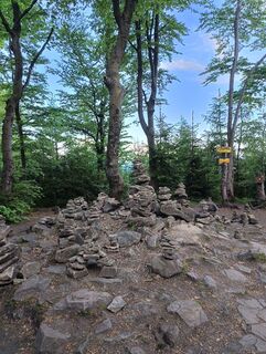 Kozy, województwo śląskie/Polska