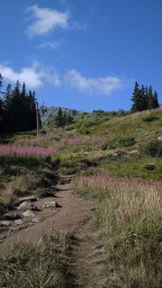 Zdjęcie z dino eminagic wzdłuż trasy