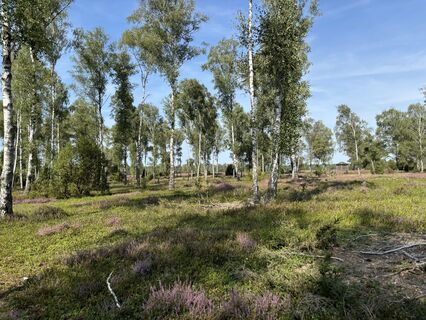 Foto de Georg Barzel a lo largo del recorrido