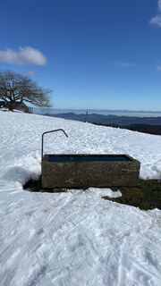 Fotografia z cacal na trase