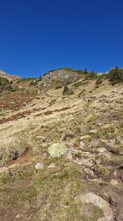 Foto von Fuchs Irene entlang der Tour