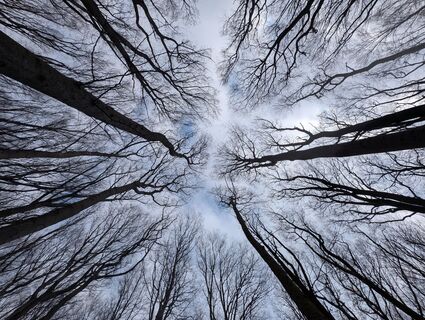 Foto de Gabriele Hajek a lo largo del recorrido