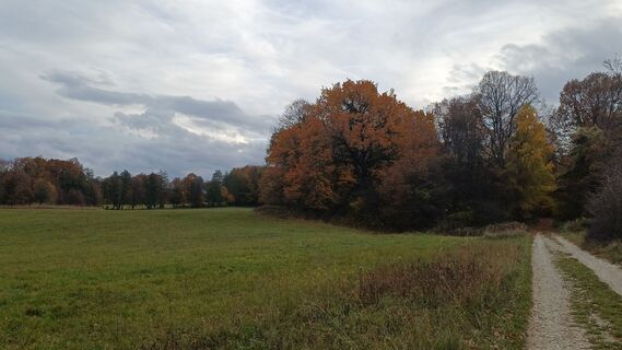 Fotografija s spletne strani Sóvári Bernadett na poti