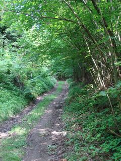 Leithentalweg