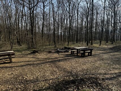 Fotografia z Eszter Csapó na trase