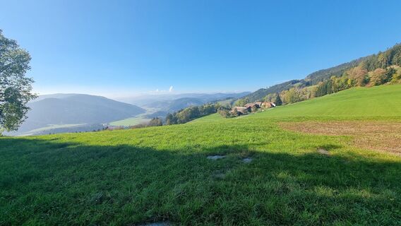 Foto von Rene Wippel entlang der Tour